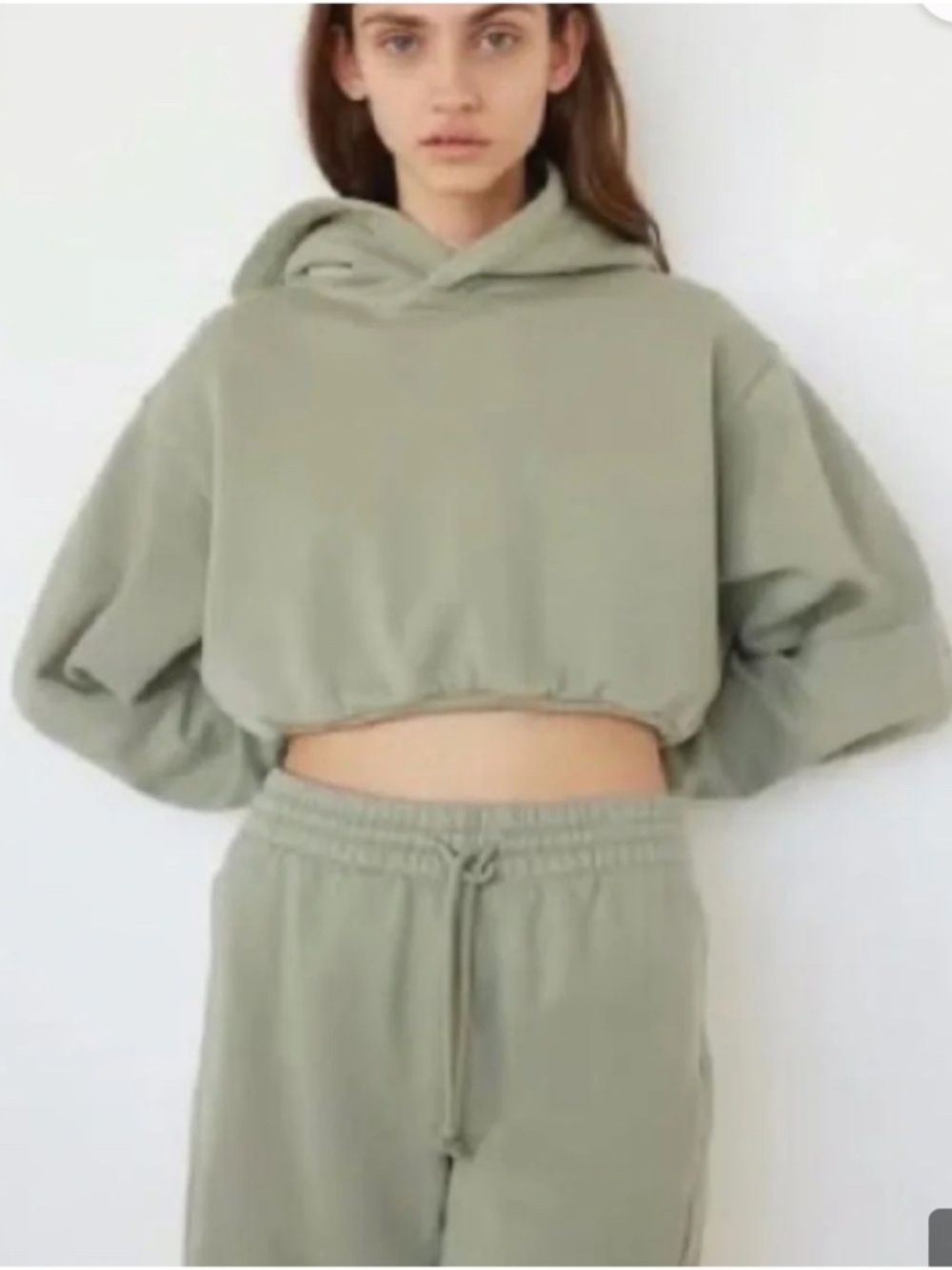 ARITZIA TNA COZY AF Cropped Boyfriend Hoodie Sage Green XXS 2XS
